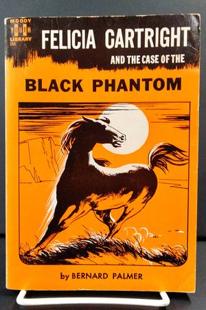 The Case of the Black Phantom image number 0