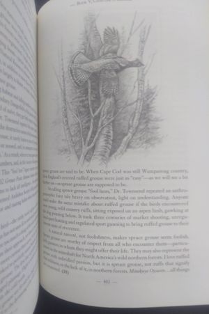 GUNNING THE EASTERN UPLANDS image number 2