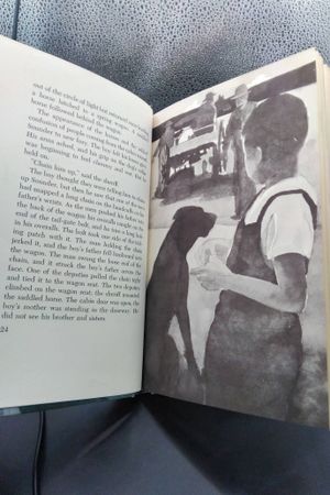 Sounder image number 2