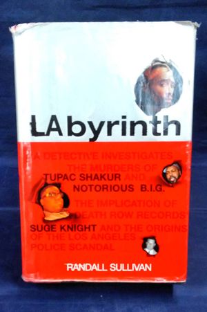 Labyrinth image number 0