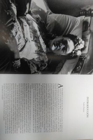 El Diario De Frida Kahlo image number 1