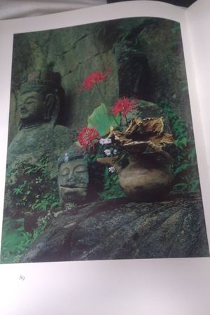 Ikebana: The Creative Tradition image number 2