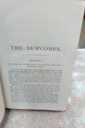 The Newcomers image number 2