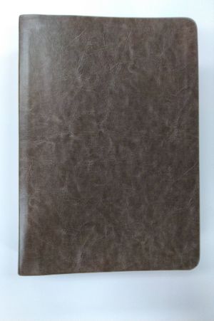 The Perry Stone Hebraic Prophetic Study Bible : Old Testament: BROWN King James Version image number 0