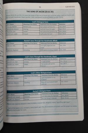The Perry Stone Hebraic Prophetic Study Bible : Old Testament: BROWN King James Version image number 2