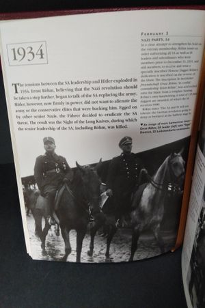 The Third Reich Day By Day image number 2
