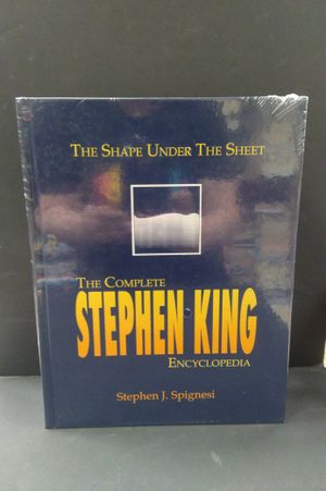 Shape Under the Sheet image number 0