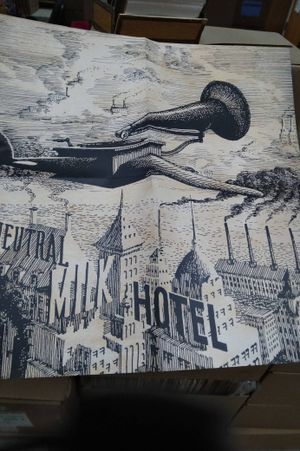 Neutral Milk Hotel Vinyl Box Set image number 2