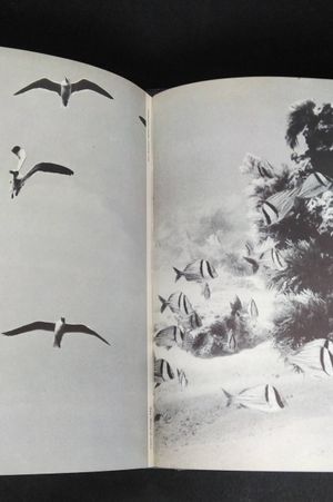 The Book of the Sea image number 2