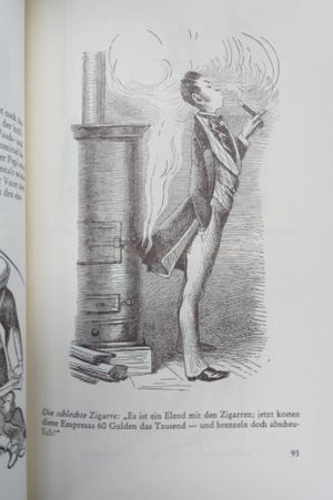 Wilhelm Busch Werke image number 1