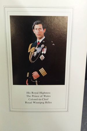 Little Black Devils: A History of the Royal Winnipeg Rifles image number 1