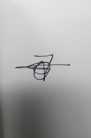 Wandering Stars image number 1