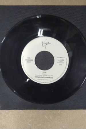 1979/Butterfly image number 1