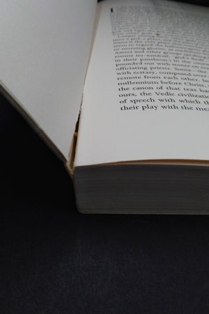 Soma image number 2