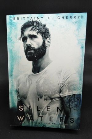 The Silent Waters image number 0