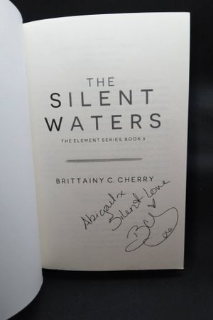 The Silent Waters image number 1