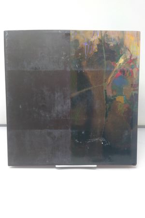 Brian Rutenberg image number 1