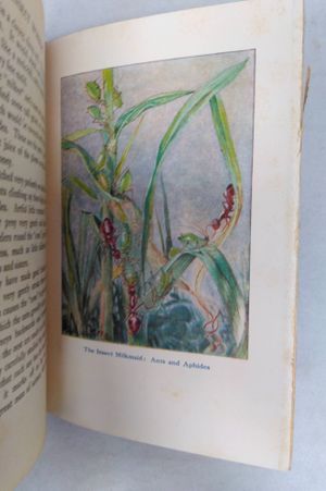 Insect Workers image number 1