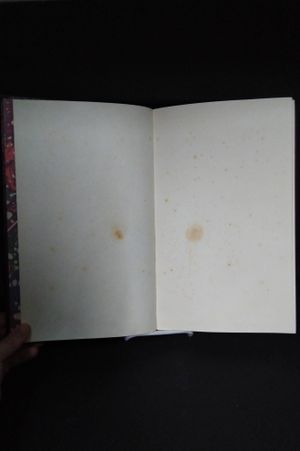 Malleus Maleficarum image number 2