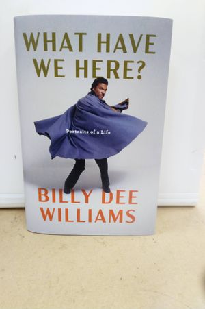 What Have We Here?: Portraits of a Life image number 1