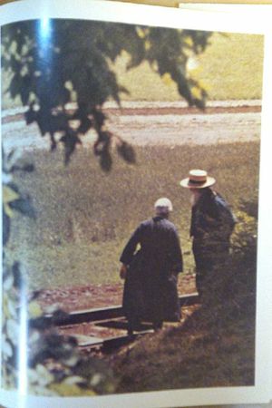 The Quiet Land image number 2