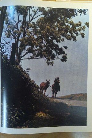 The Quiet Land image number 1