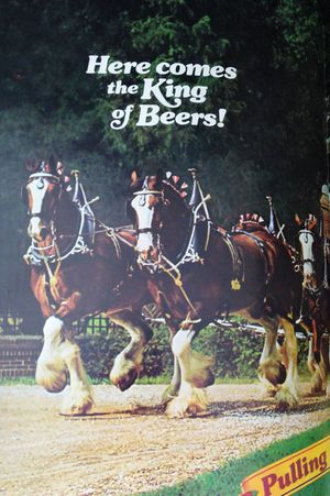 Life Magazine Bicentennial Issue image number 2