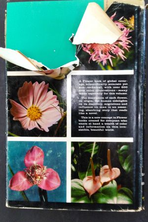 Flowers of the World image number 1