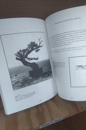Bonsai Techniques One image number 2