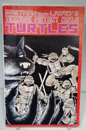 Teenage Mutant Ninja Turtles #1 image number 0