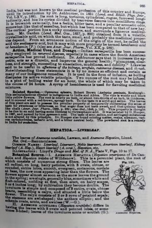 King's American Dispensatory Volume 2 image number 1