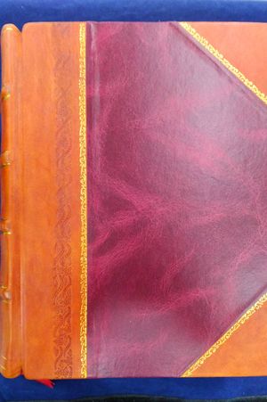 King's American Dispensatory Volume 2 image number 2