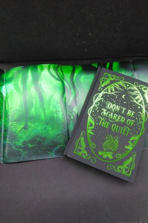 What the Woods Took (Owlcrate) image number 1
