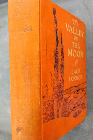 The Valley of the Moon image number 0