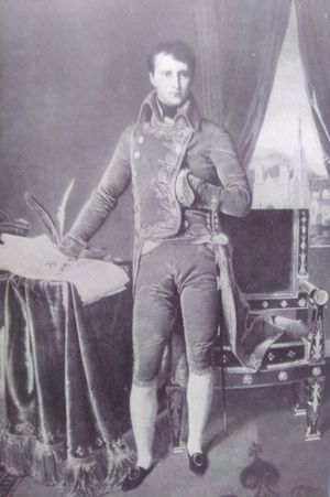 Napoleon image number 2