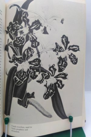Bizarre Plants: Magical, Monstrous, Mythical image number 2