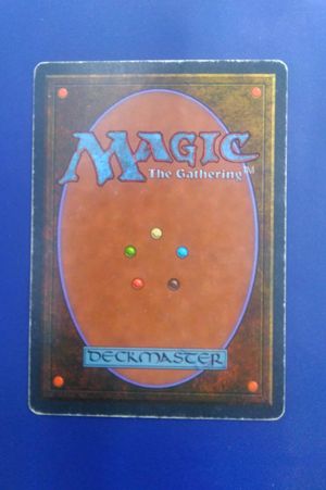 Adarkar Wastes Magic The Gathering  image number 1