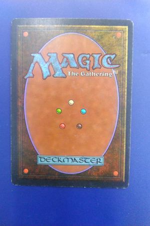 Adarkar Wastes Magic The Gathering  image number 1