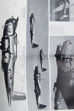 The Great Planes image number 2