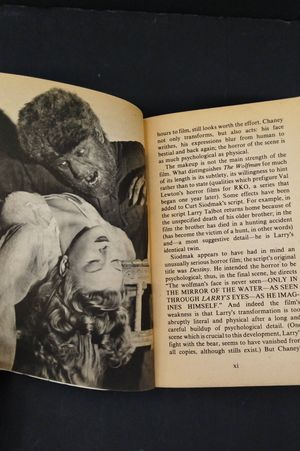 The Wolfman image number 1
