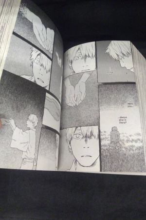 Mushishi 8, 9, and 10 image number 1