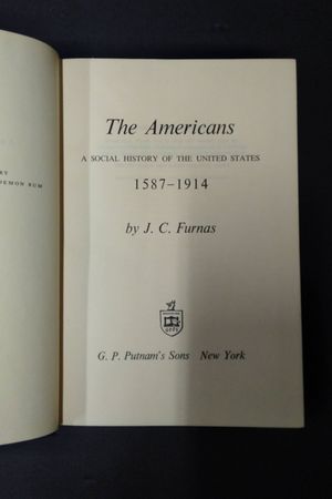 The Americans: A Social History of the United States, 1587-1914 image number 1