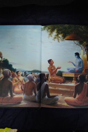 A.C. Bhaktivedanta Swami Prabhupada ( All 12 Cantos ) image number 2