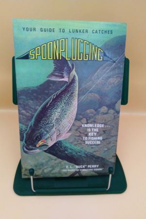 Spoonplugging image number 0