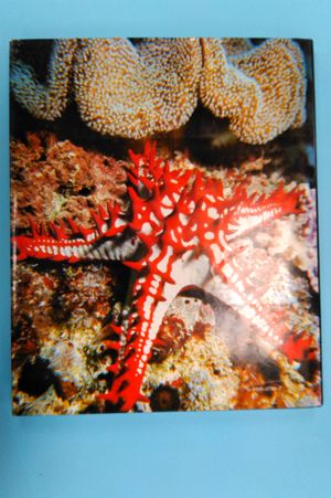 Jacques Cousteau's Calypso image number 1