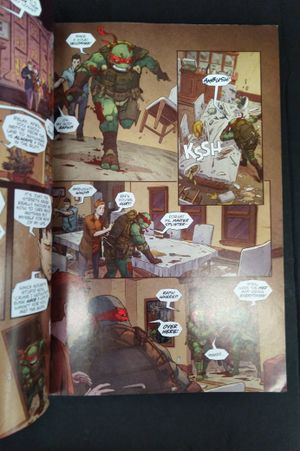 Teenage Mutant Ninja Turtles: The Last Ronin #2 image number 1
