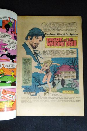 The Occult Files of Dr. Spektor #17  image number 1