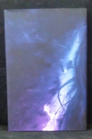 Daphne image number 1