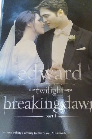 Barbie Collector The Twilight Saga: Breaking Dawn - Edward Doll image number 1