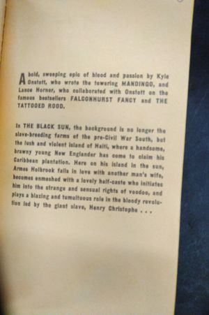 The Black Sun image number 2